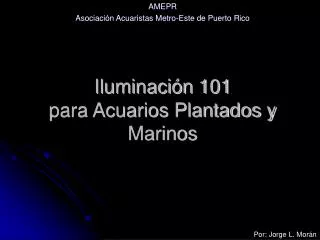Iluminación 101 para Acuarios Plantados y Marinos