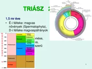 tri sz 251 200