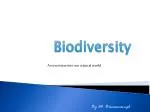Biodiversity - slide 1