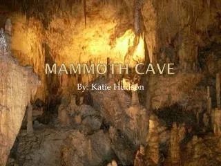 Mammoth Cave