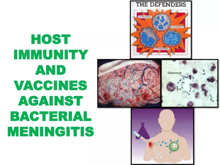 host immunity and vaccines against bacterial meningitis