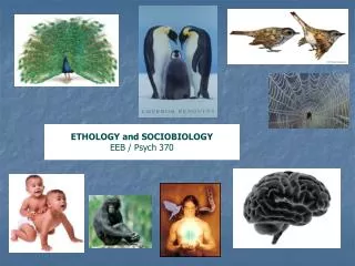 ETHOLOGY and SOCIOBIOLOGY EEB / Psych 370