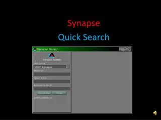 Synapse Quick Search