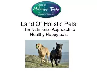 Land Of Holistic Pets