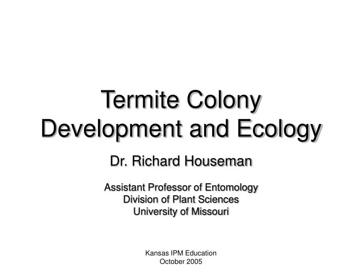 termite colony development and ecology