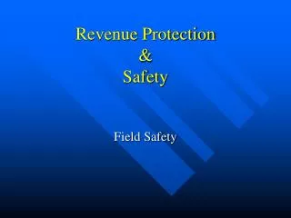 Revenue Protection &amp; Safety