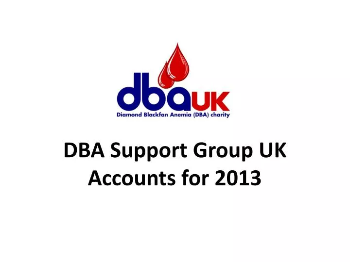 dba support group uk accounts for 2013