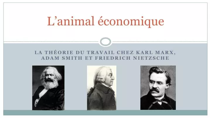 l animal conomique