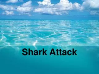 Shark Attack