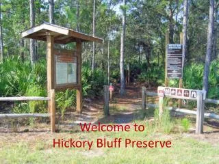 Welcome to Hickory Bluff Preserve