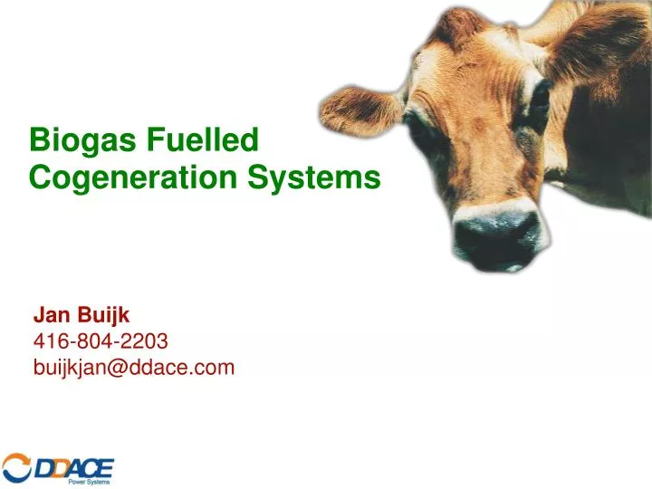 biogas fuelled cogeneration systems