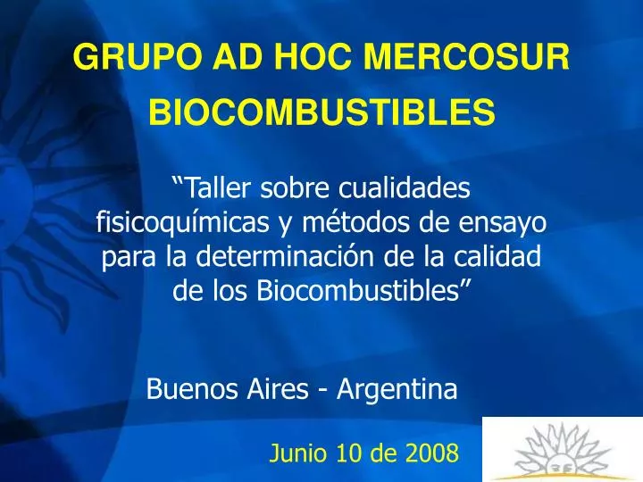 grupo ad hoc mercosur biocombustibles