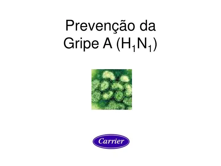 preven o da gripe a h 1 n 1