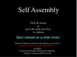 Self Assembly - slide 1