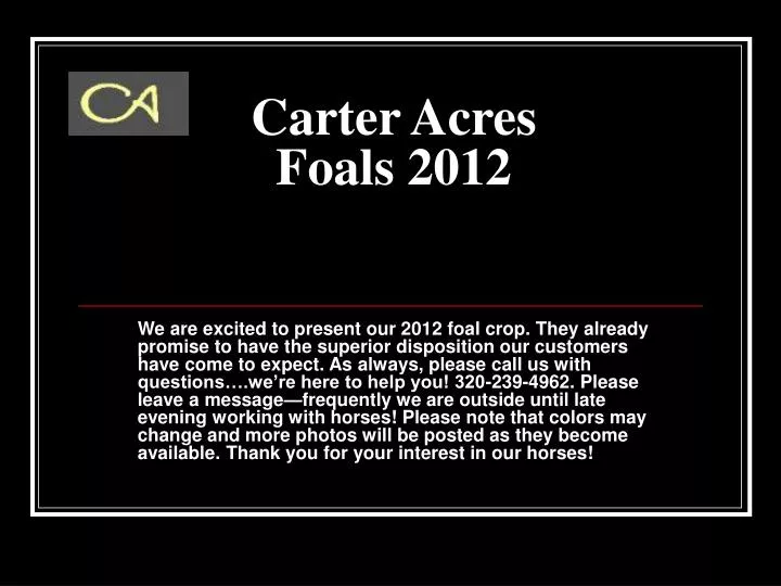 carter acres foals 2012
