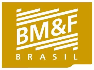 Brazilian Payment System (SPB) BM&amp;F Foreign Exchange Clearinghouse Regional Clearing Facility
