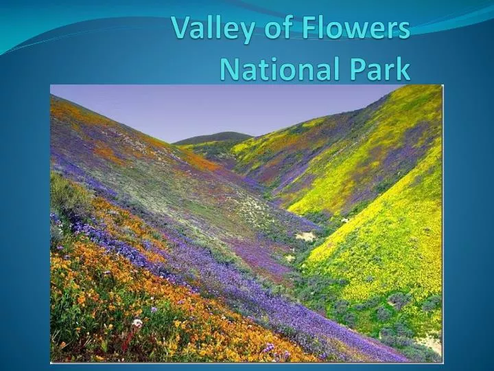 valley of flowers national park