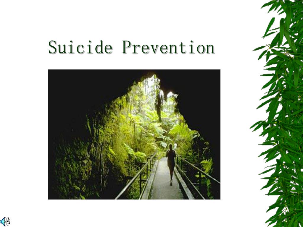 PPT - Suicide Prevention Facts in Canada PowerPoint Presentation, free ...