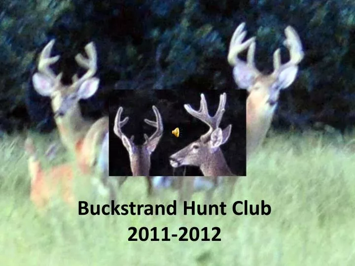 buckstrand hunt club 2011 2012