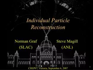 Individual Particle Reconstruction