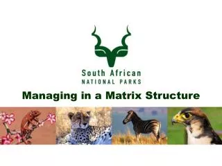 Managing in a Matrix Structure