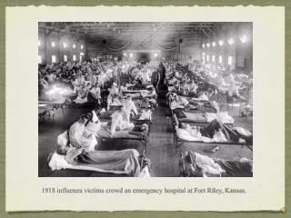1918 influenza victims crowd an emergency hospital at Fort Riley, Kansas.