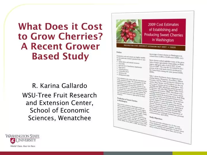 what does it cost to grow cherries a recent grower based study