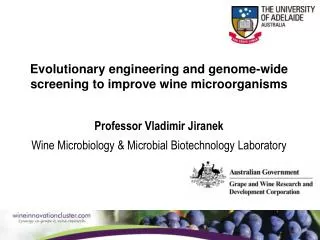 Evolutionary engineering and genome-wide screening to improve wine microorganisms