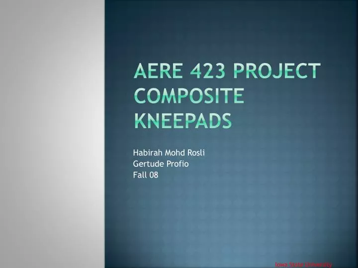 aere 423 project composite kneepads