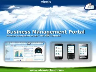 Business Management Portal Business Management on line | ERP 100% Internet