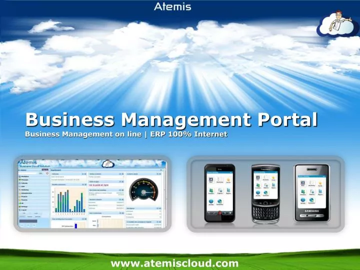business management portal business management on line erp 100 internet