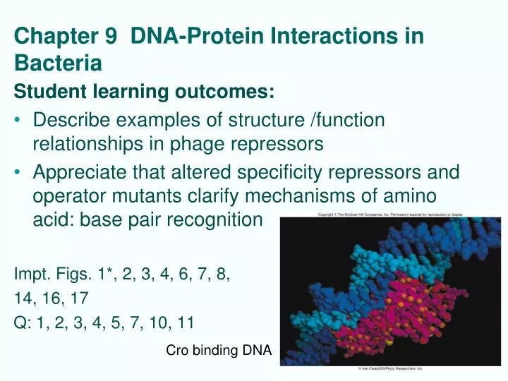 chapter 9 dna protein interactions in bacteria