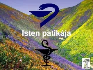 isten patik ja