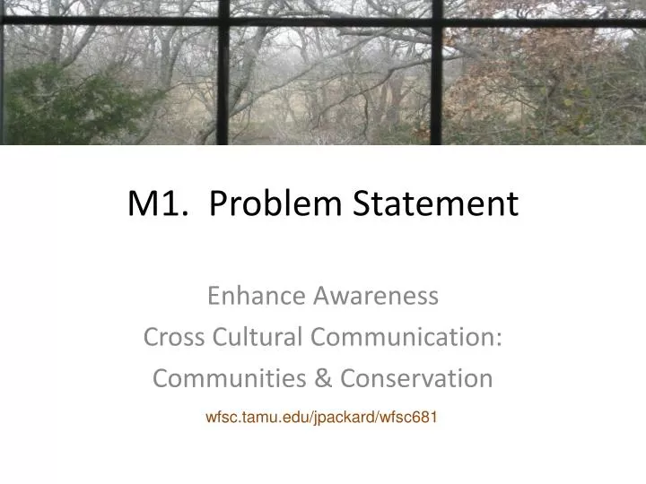m1 problem statement