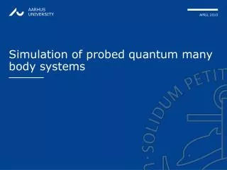 Simulation of probed quantum many body systems