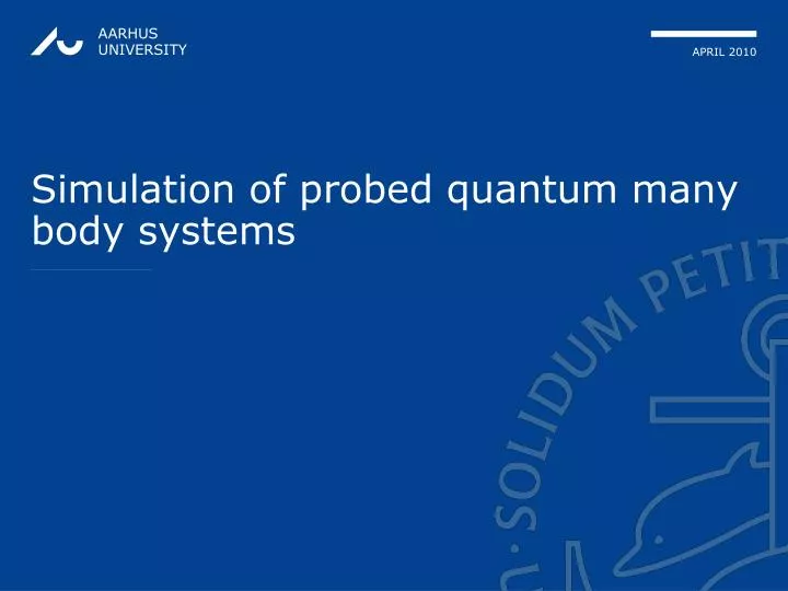 simulation of probed quantum many body systems