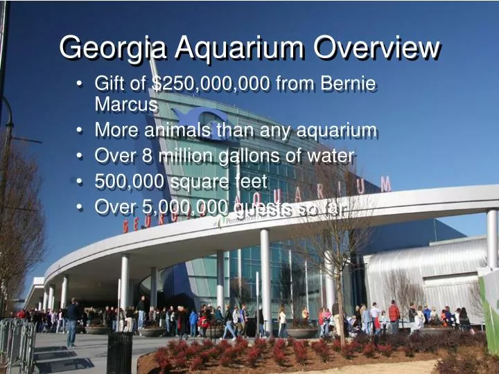 georgia aquarium overview