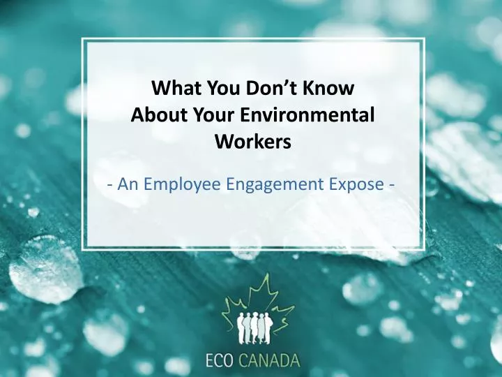 what you don t know about your environmental workers