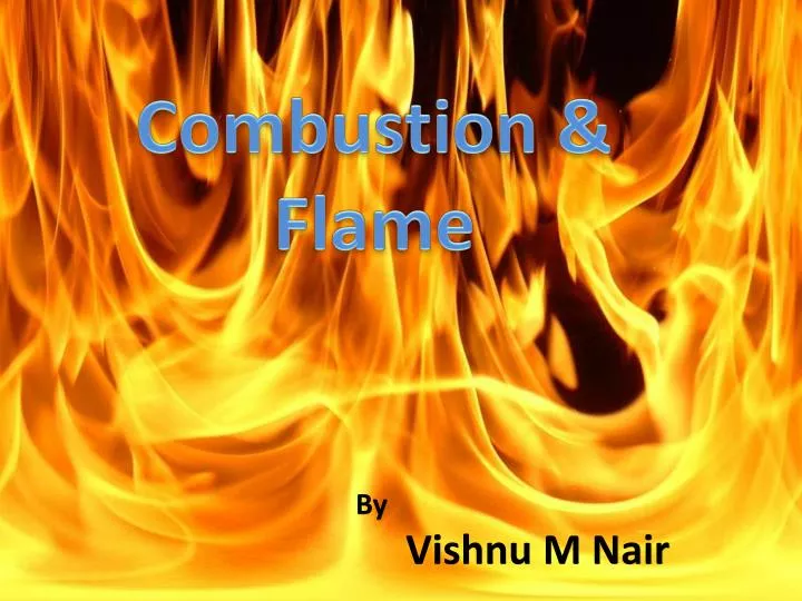 LPG Gas Flame, PDF, Combustion