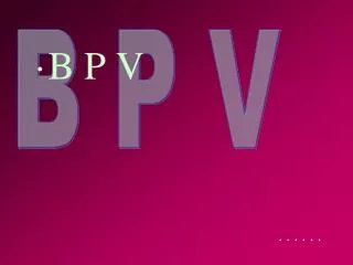 b p v