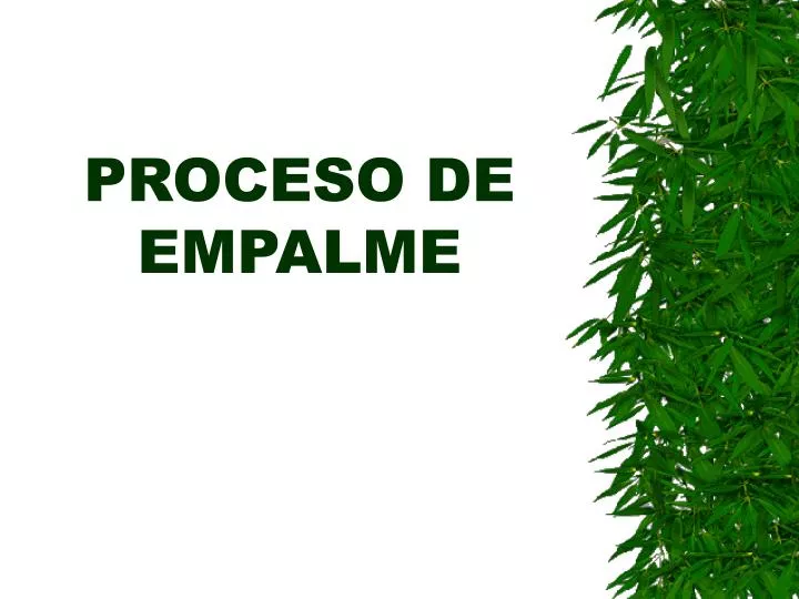 proceso de empalme