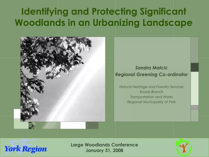 identifying and protecting significant woodlands in an urbanizing landscape