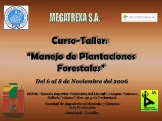 manejo de plantaciones forestales