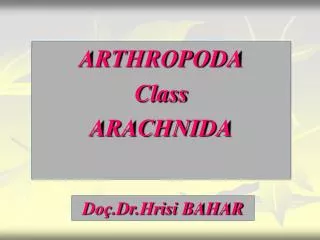 ARTHROPODA Class ARACHNIDA