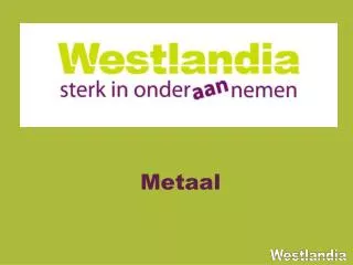 metaal