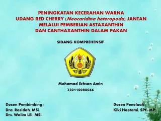 sidang komprehensif