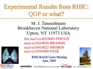 Experimental Results from RHIC: QGP or what?