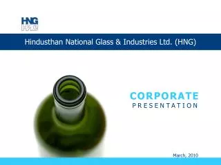 Hindusthan National Glass &amp; Industries Ltd. (HNG)