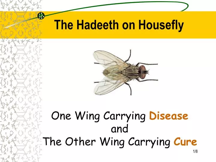 the hadeeth on housefly
