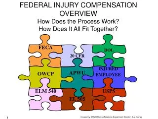 FEDERAL INJURY COMPENSATION OVERVIEW How Does the Process Work? How Does It All Fit Together?